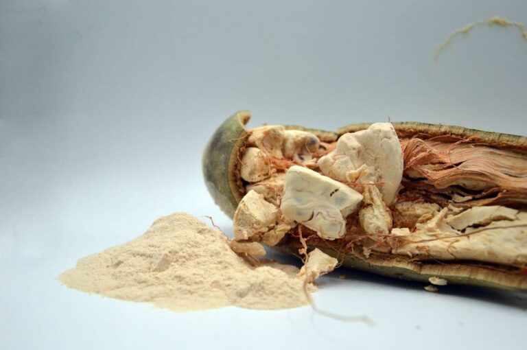 Poudre de baobab tamisée de Tchaou Group Manufacture